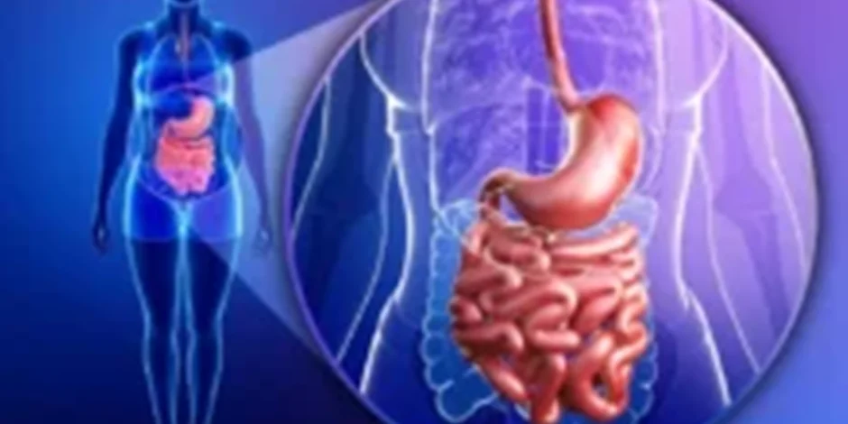 تفاوت زخم معده با سایر مشکلات گوارشی: چگونه علائم زخم معده را تشخیص دهیم؟