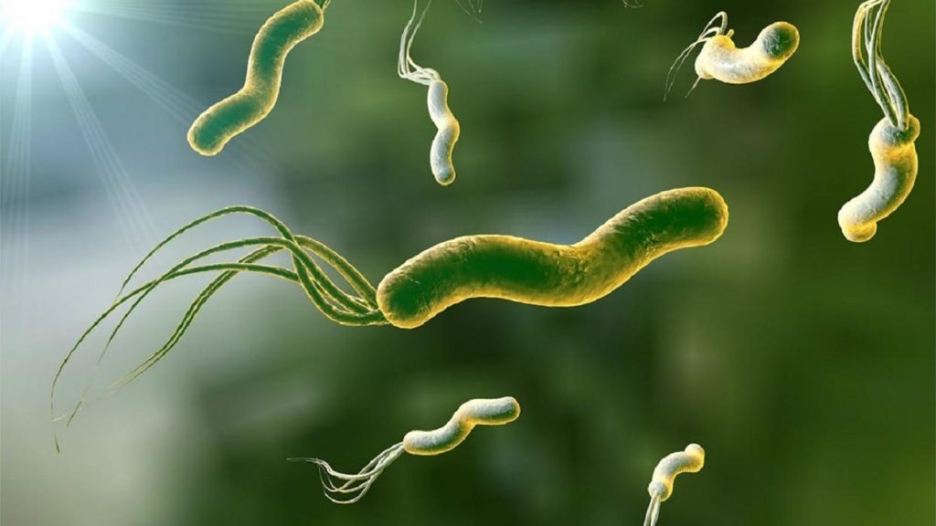 هلیکوباکتر پیلوری چیست؟ علائم و نحوه درمان